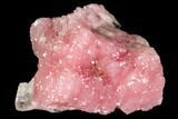 Druzy Rhodochrosite Crystal Cluster - South Africa #111556-1